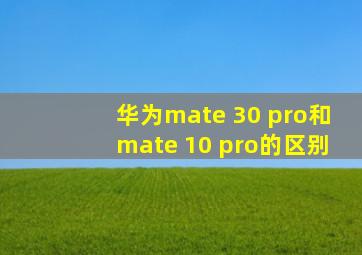 华为mate 30 pro和mate 10 pro的区别